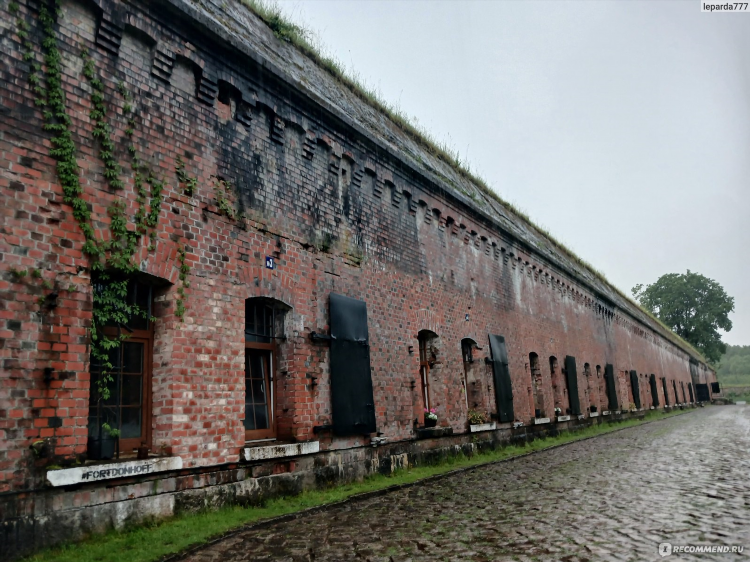5 форд в калининграде
