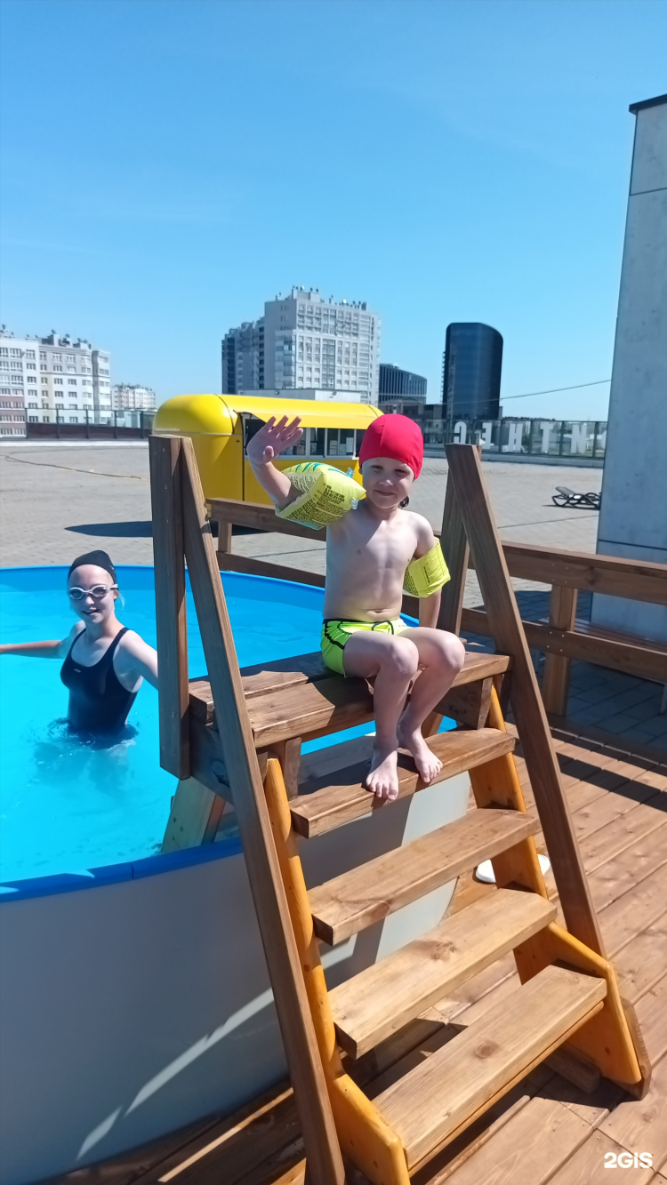 Альбатрос калининград север
