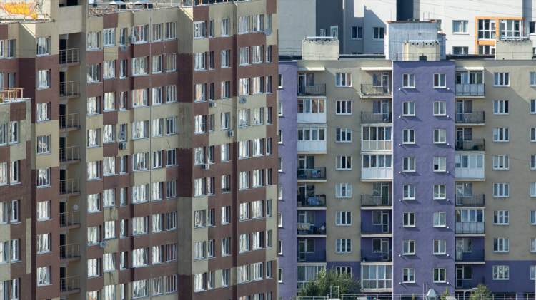 Авито купить квартиру калининград