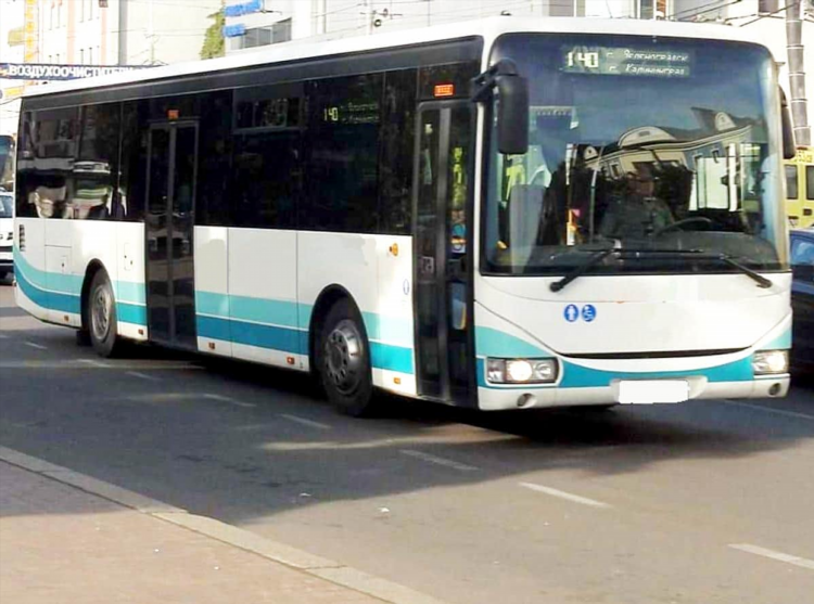 Автобус 141 калининград зеленоградск расписание сегодня