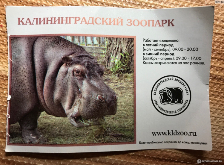 Билет в зоопарк калининград