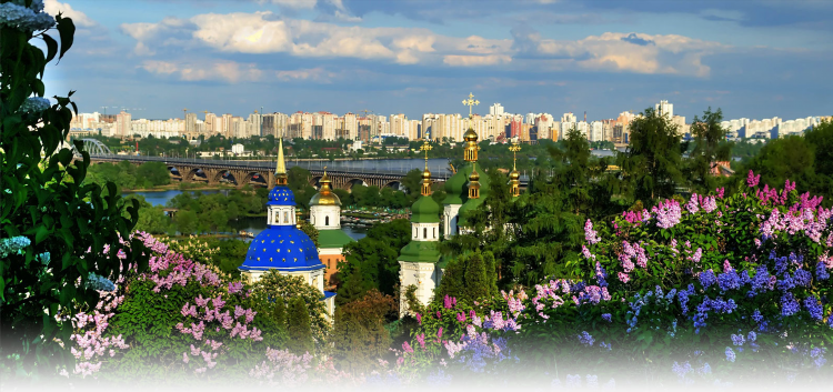 Билеты на самолет спб калининград