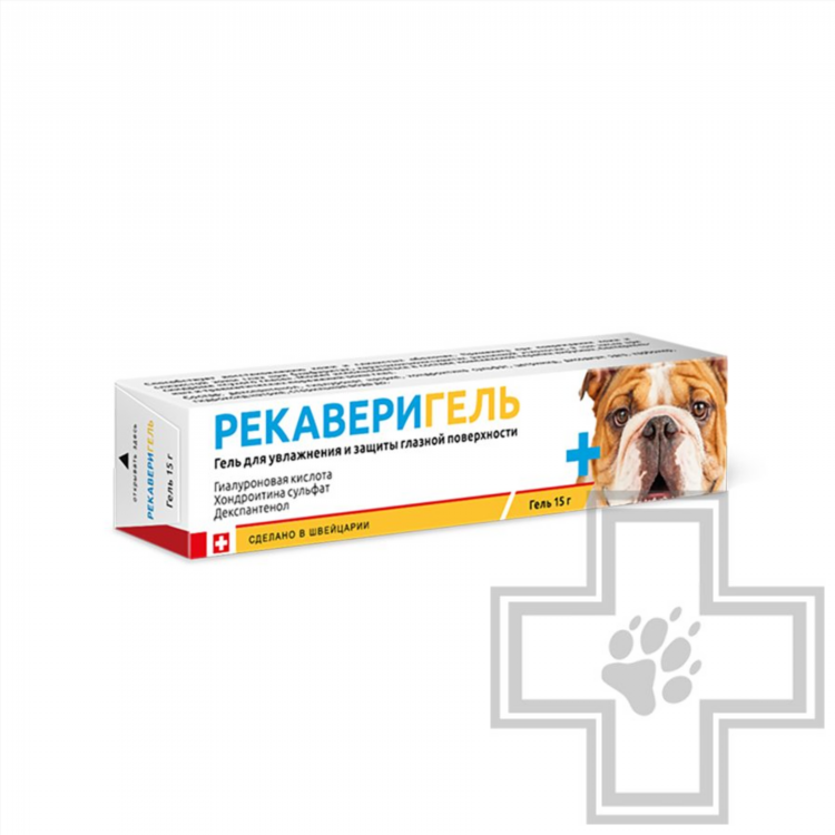 Бульдог 39 калининград
