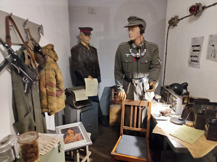 Чем заняться в калининграде