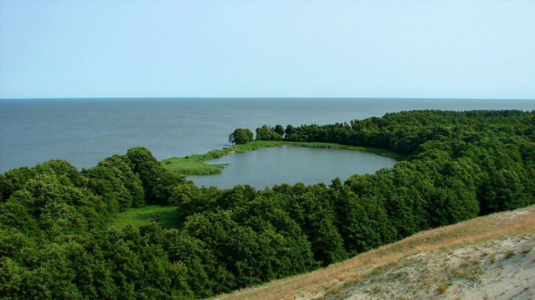 Экскурсии в калининграде на куршскую косу