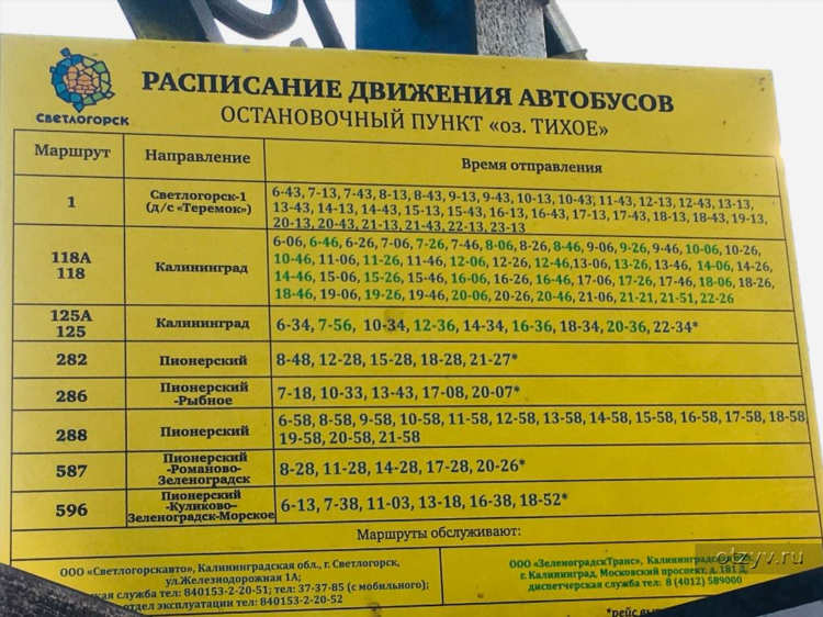 Как добраться из калининграда до балтийска