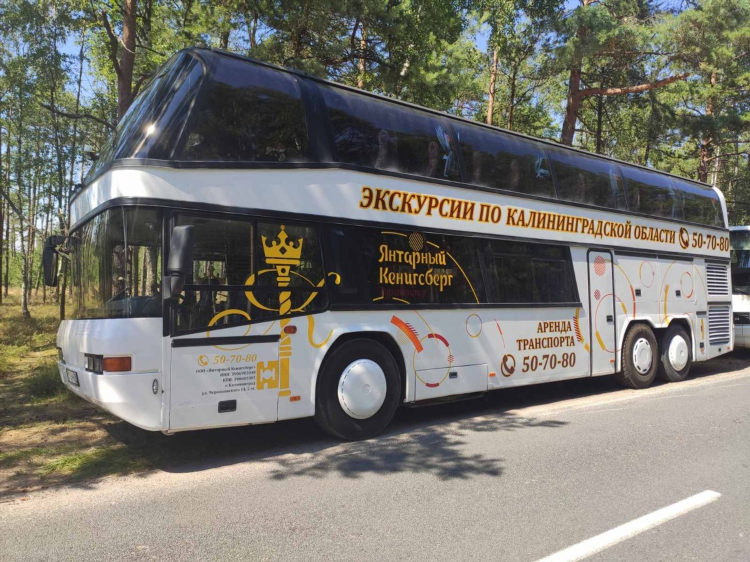 Калининград автобус