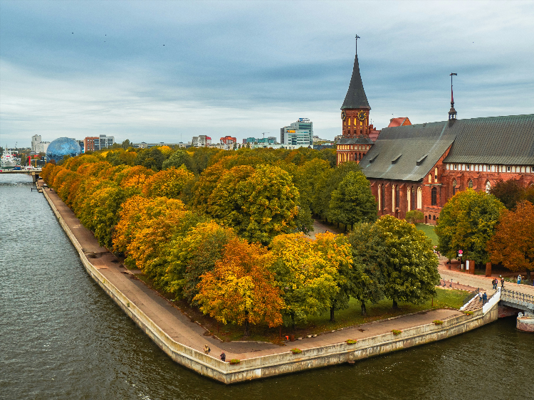 Калининград куликово расписание