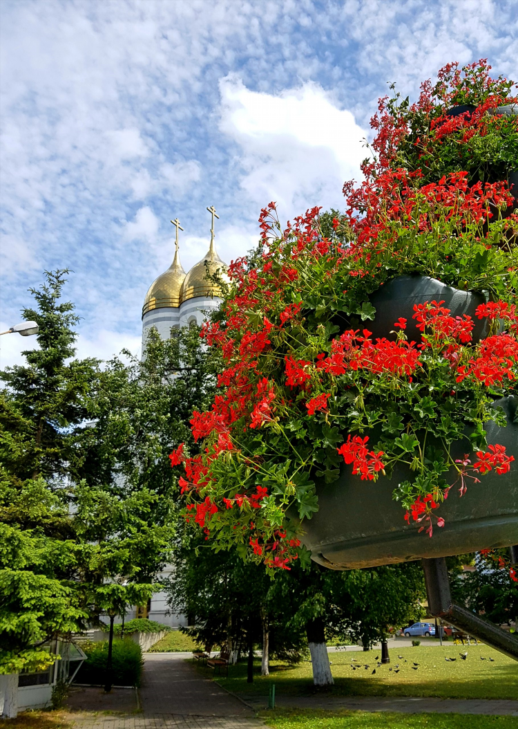 Калининград реальные фото
