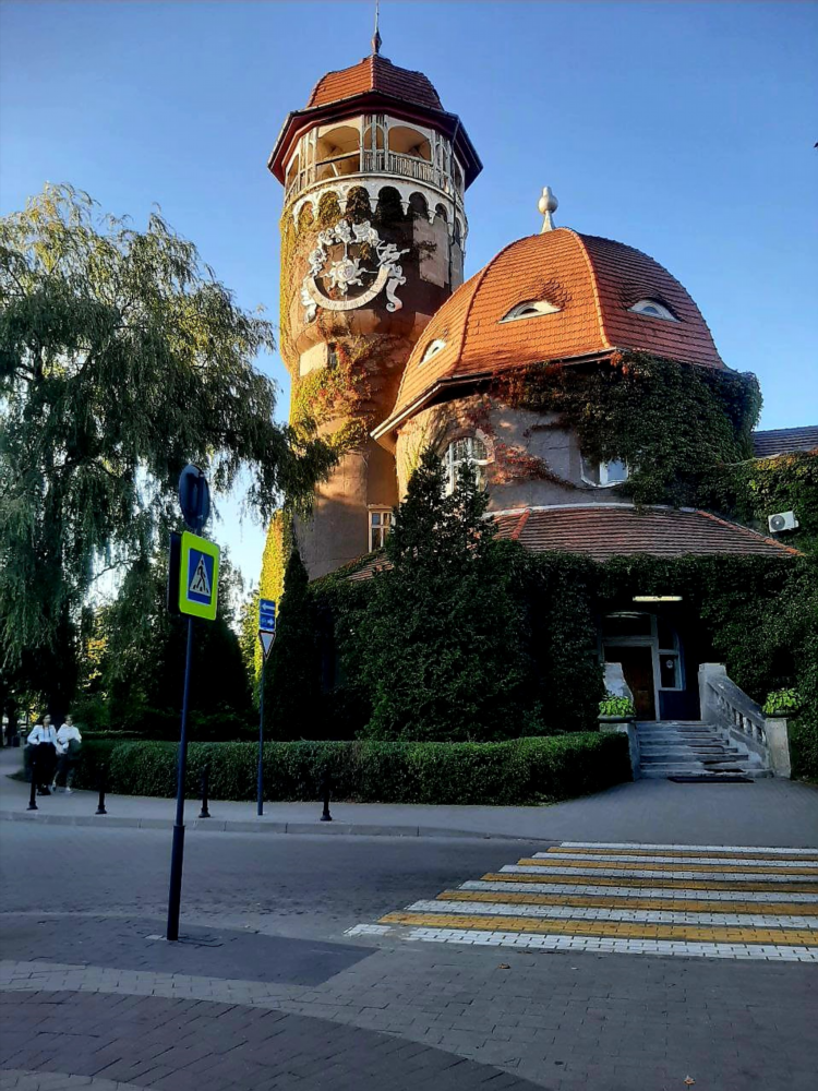 Калининград в июне отзывы туристов погода