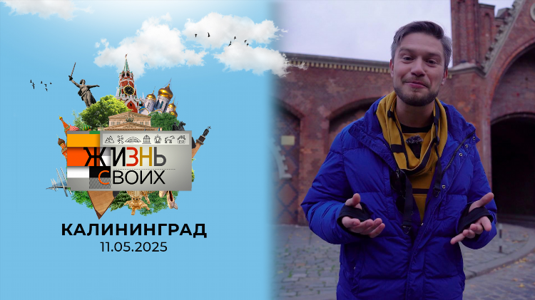 Канал голливуд программа передач на сегодня калининград