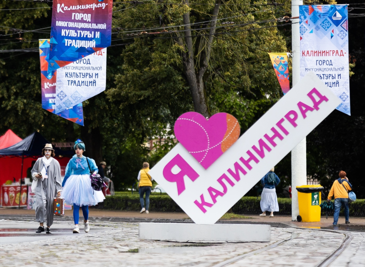 Карта калининграда с улицами и номерами домов