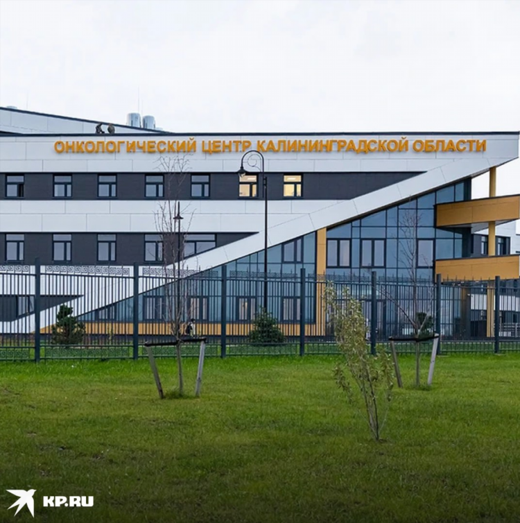 Колледж предпринимательства калининград официальный сайт профессии