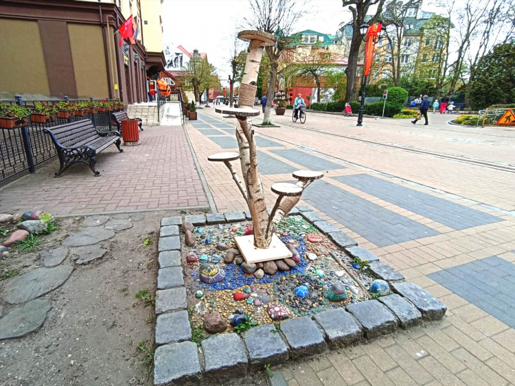 Кошачий город в калининграде