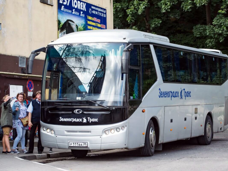 Мамоново калининград расписание автобусов