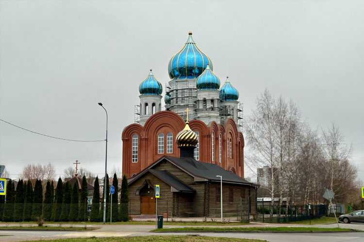 Мфц калининград на сельме