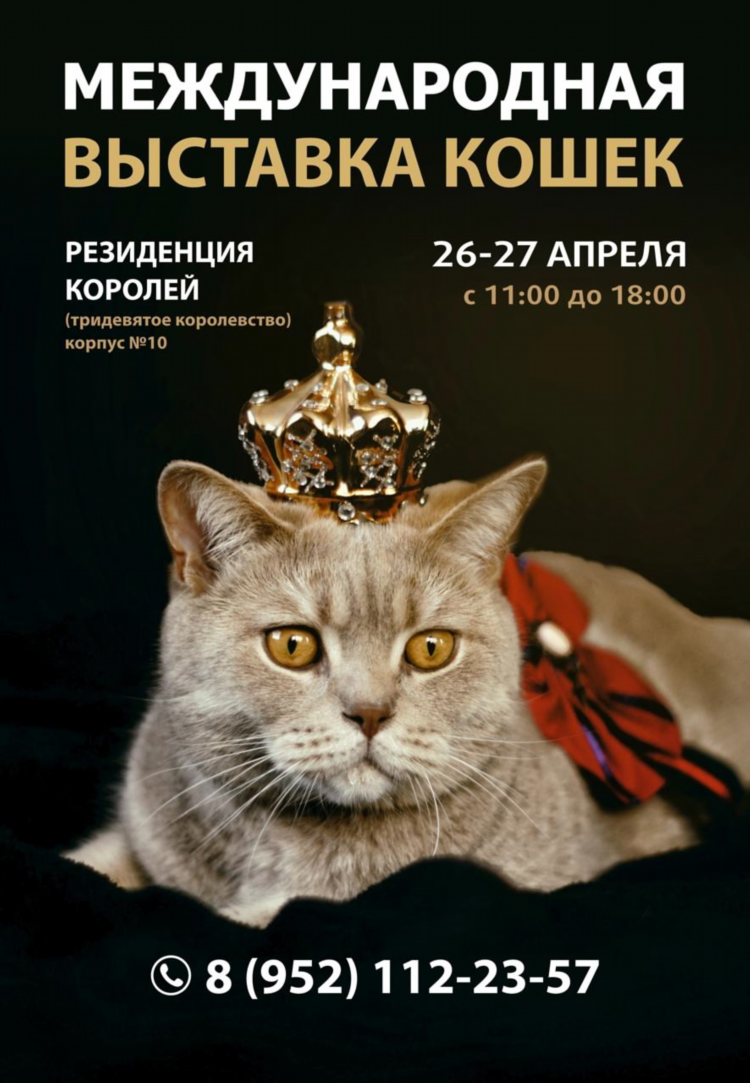 Мир корма калининград интернациональная