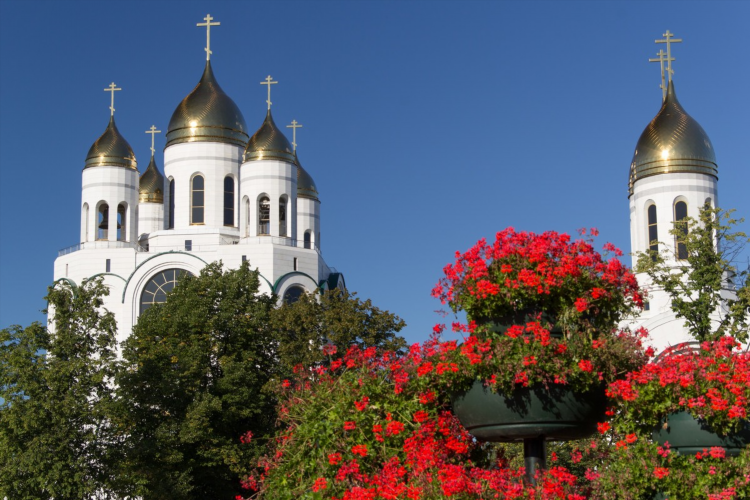 Монастырь в калининграде