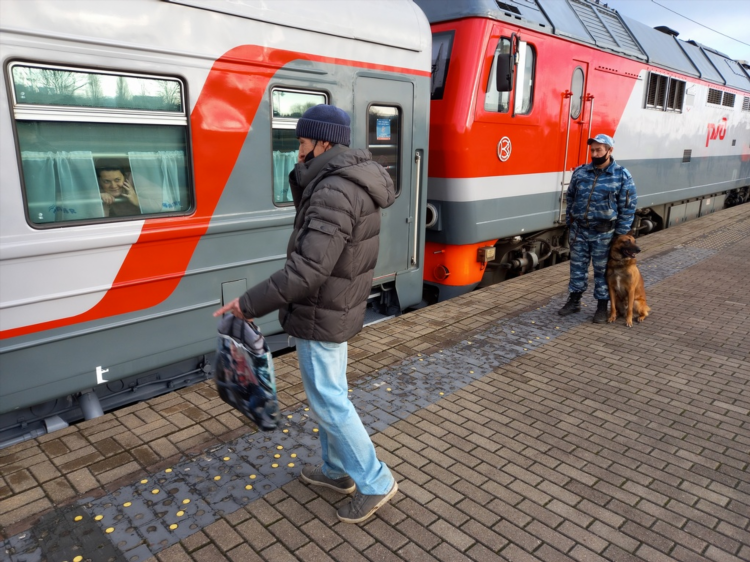 На поезде до калининграда из москвы