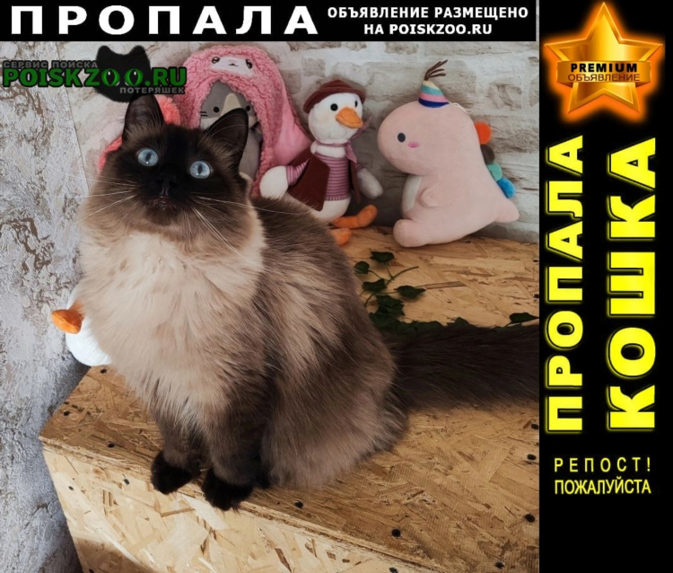 Объявления калининград