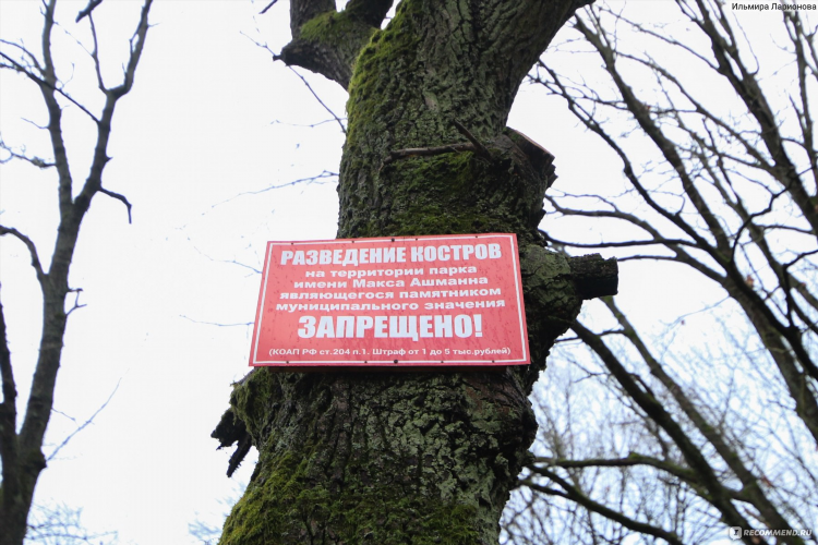 Парк имени макса ашманна калининград