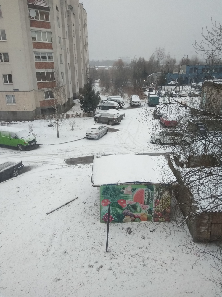 Погода в калининграде гисметео на месяц
