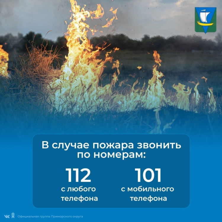 Расписание автобусов 133 пограничный калининград