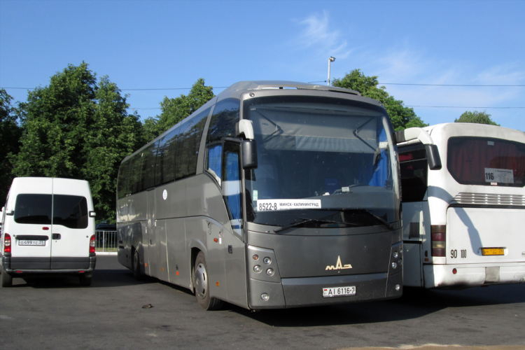 Расписание автобусов калининград жемчужное 116