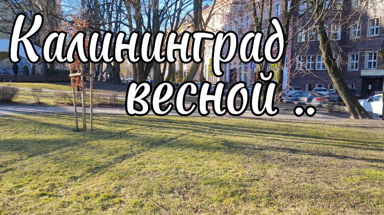 Россия 1 калининград онлайн