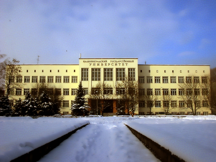 Сайт бфу калининград