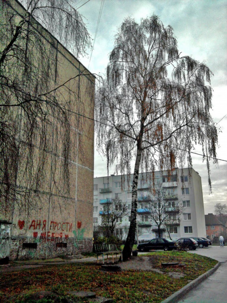 Школа 11 калининград