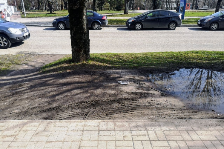 Штрафы гибдд калининград