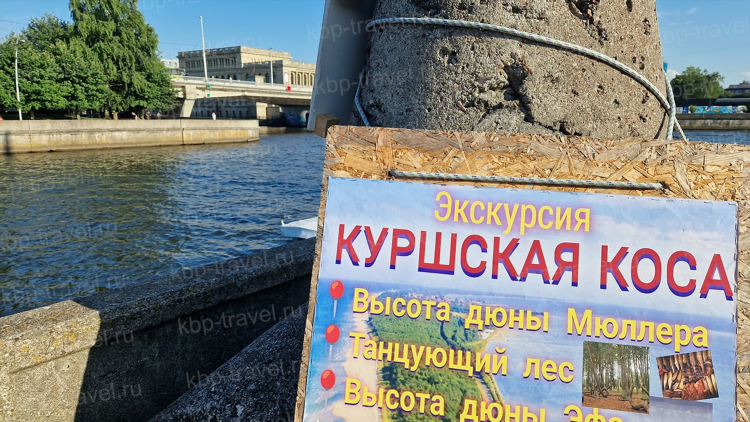 Сколько людей проживает в калининграде