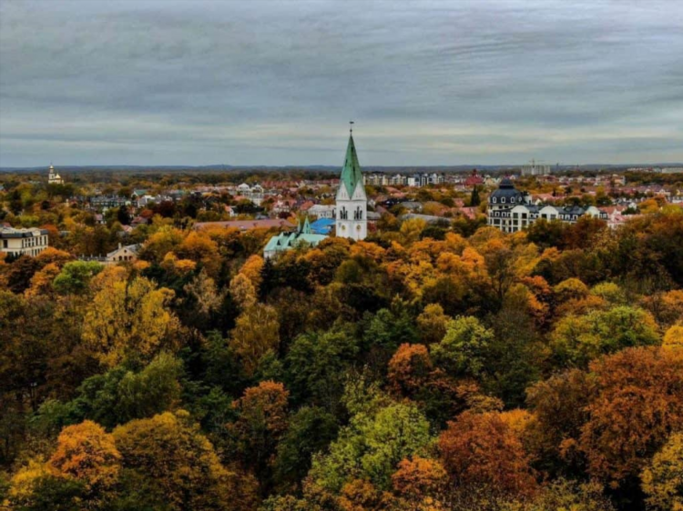 Среднегодовая температура в калининграде по месяцам