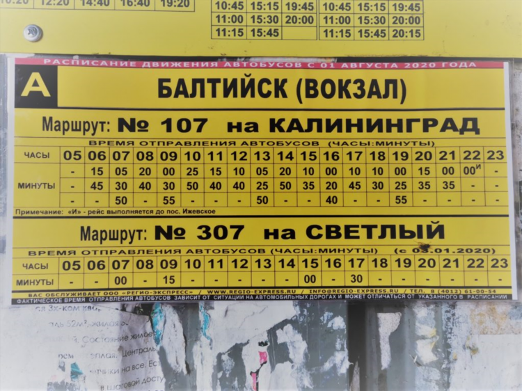 Светлый калининград расписание автобусов
