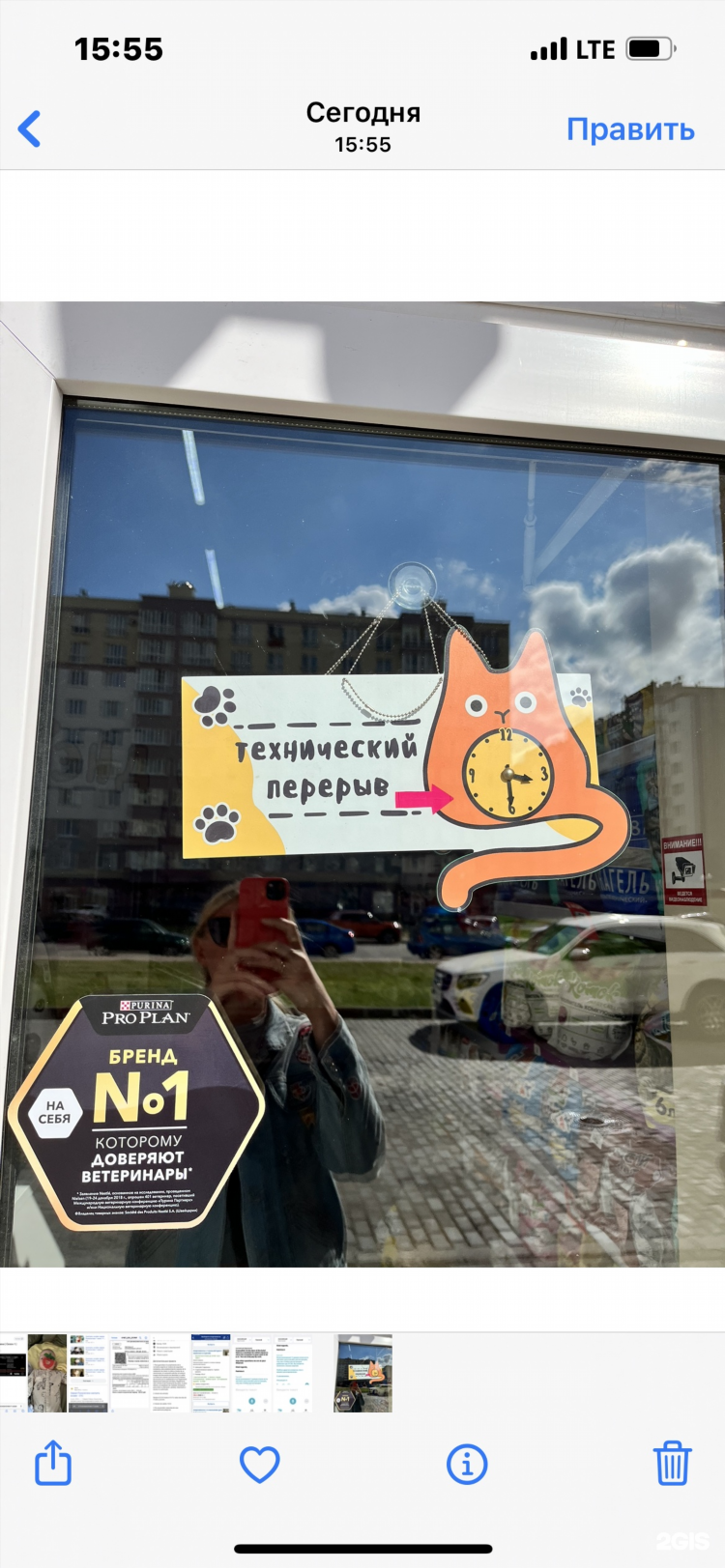 Ветклиника восток калининград денисова 12