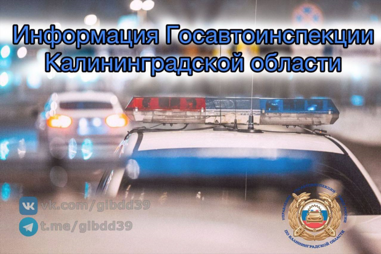 Вк г калининград калининградской области