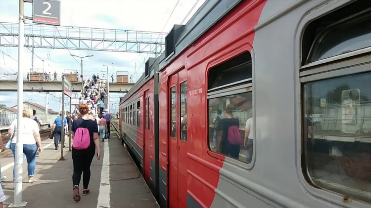 Зеленоградск калининград электричка расписание сегодня