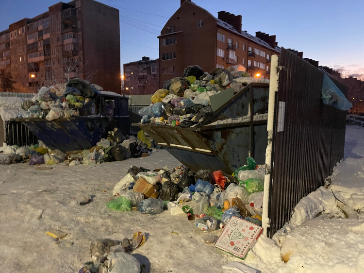 Жэу невский калининград