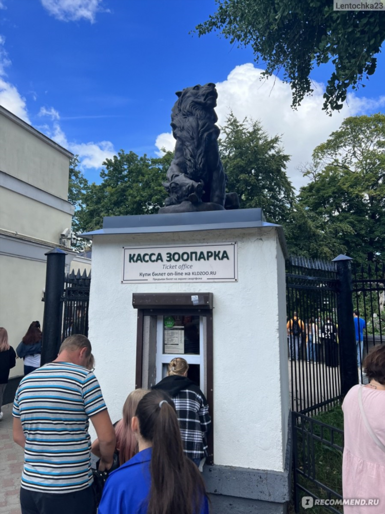 Зоопарк калининград стоимость билета